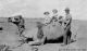 Bert Pratt's Camel